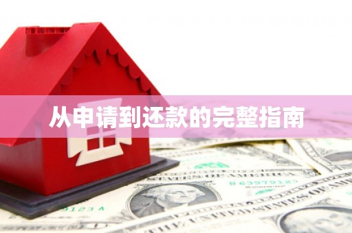 阿勒泰从申请到还款的完整指南