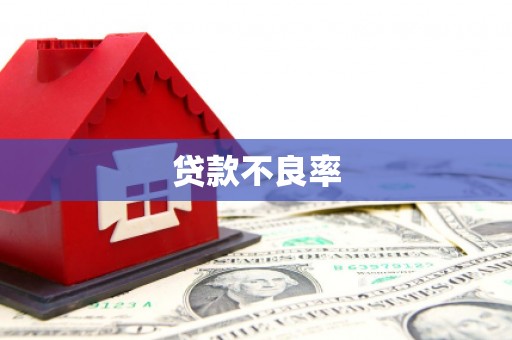 温岭贷款不良率