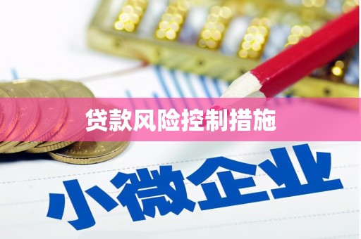 沈河贷款风险控制措施