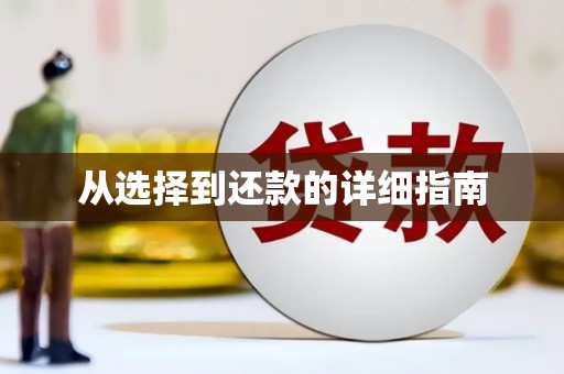 新巴尔虎左旗从选择到还款的详细指南