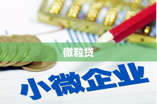 宣威微粒贷