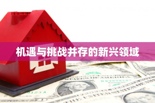 永年机遇与挑战并存的新兴领域