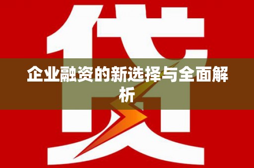 美浓企业融资的新选择与全面解析