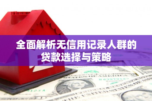 新河全面解析无信用记录人群的贷款选择与策略