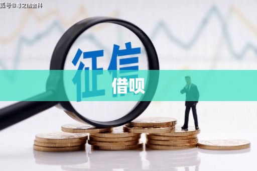 蒙阴借呗