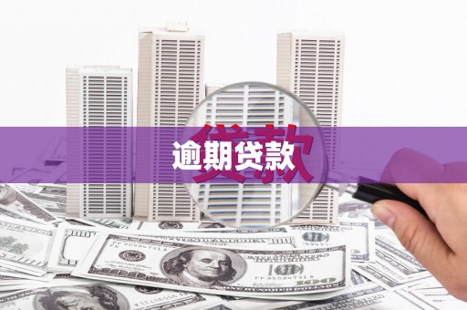 富裕逾期贷款