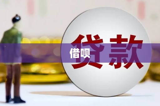 罗东借呗